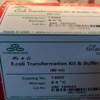 Zymo Research T3002大肠杆菌高效率转化试剂盒13611631389上海睿安生物