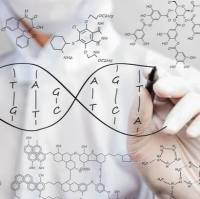 酵母化学感受态细胞制备试剂盒