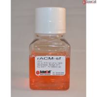 Sciencell R1811-sf 大鼠星形胶质细胞条件培养基,无血清 现货特价