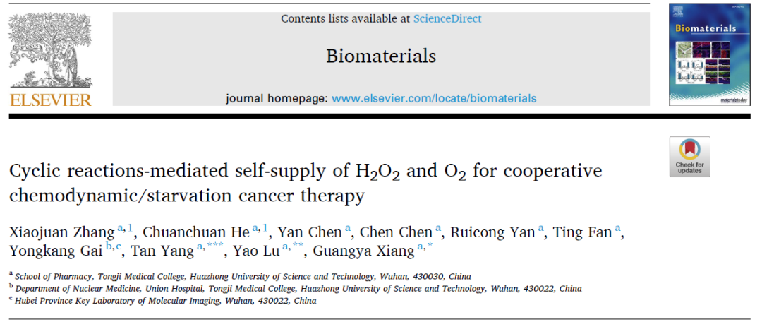 文献解读 | 抗癌疗法新突破！有效缓解癌症乏氧