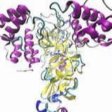新型冠狀病毒主蛋白酶（SARS-CoV2 main protease）
