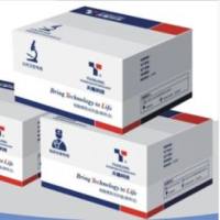 HPV16/18分型联合16种高危亚型检测试剂盒