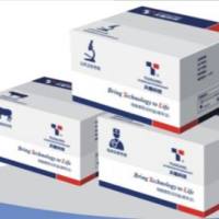 乙型肝炎病毒基因分型检测试剂盒(荧光PCR法)