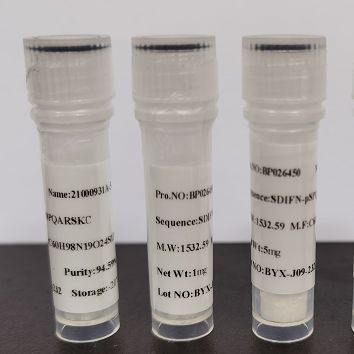 Anti Active Rac1-GTP Mouse Monoclonal Antibody