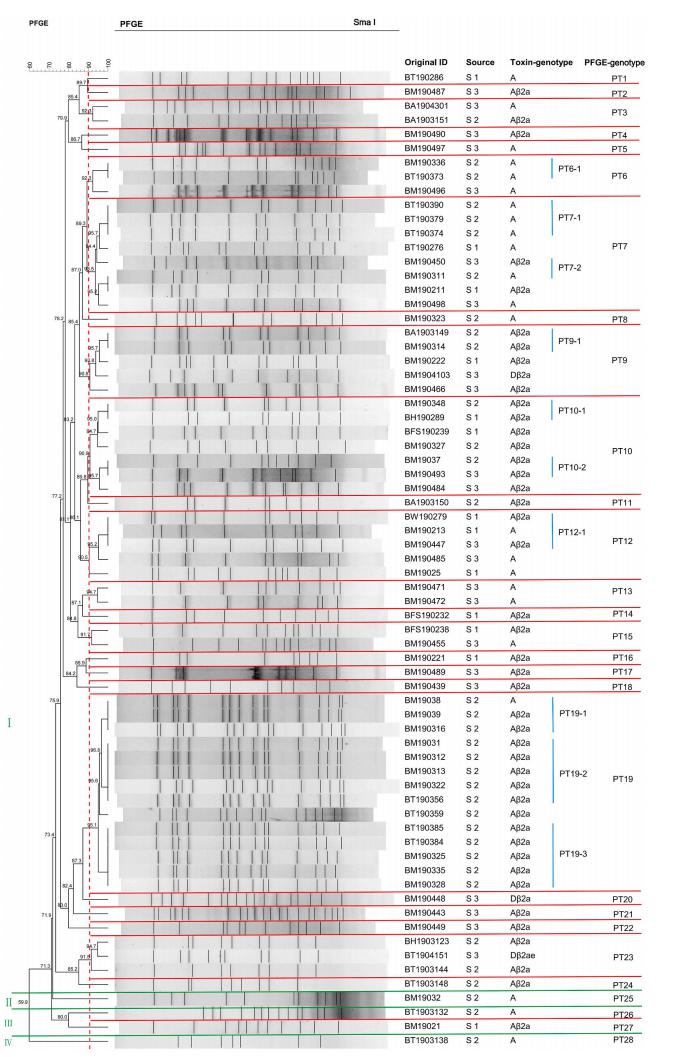 低氧/厌氧产品案例——胃肠道菌产气荚膜梭菌研究