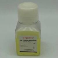 无血清细胞冻存液