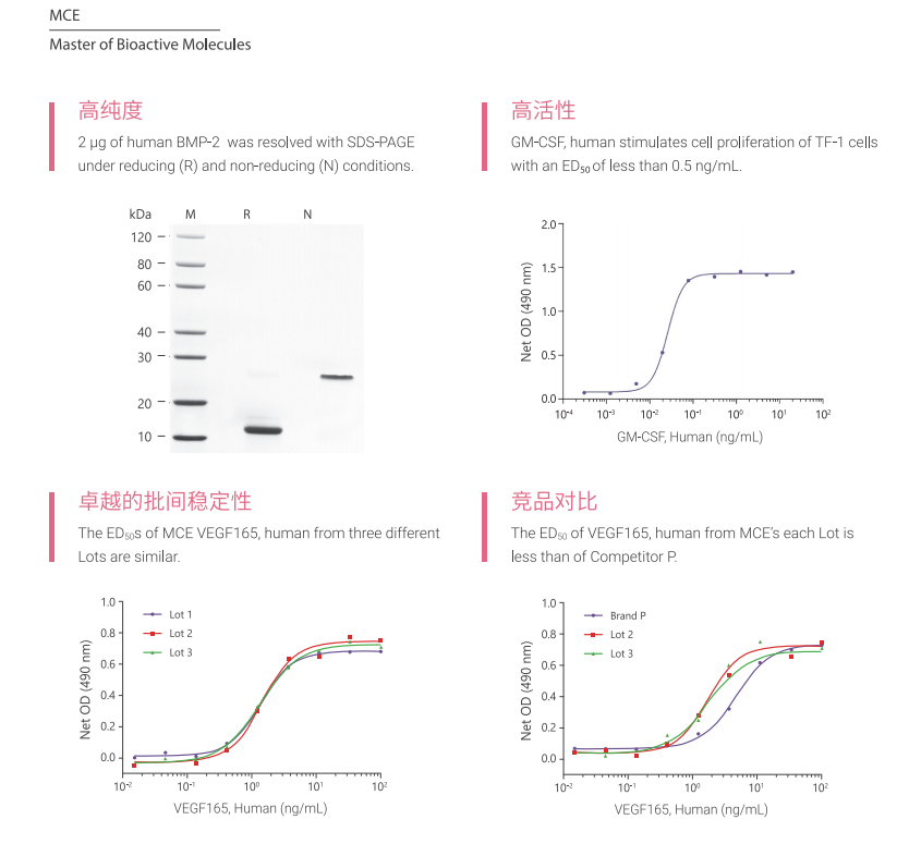 肝细胞生长因子及受体