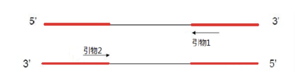 普通PCR、原位PCR、反向PCR和反转录PCR的 基本原理和操作步骤---反向PCR