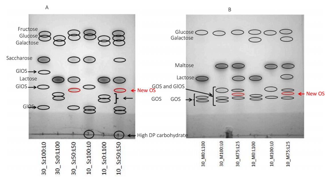 低氧/厌氧产品案例——益生菌双歧杆菌研究
