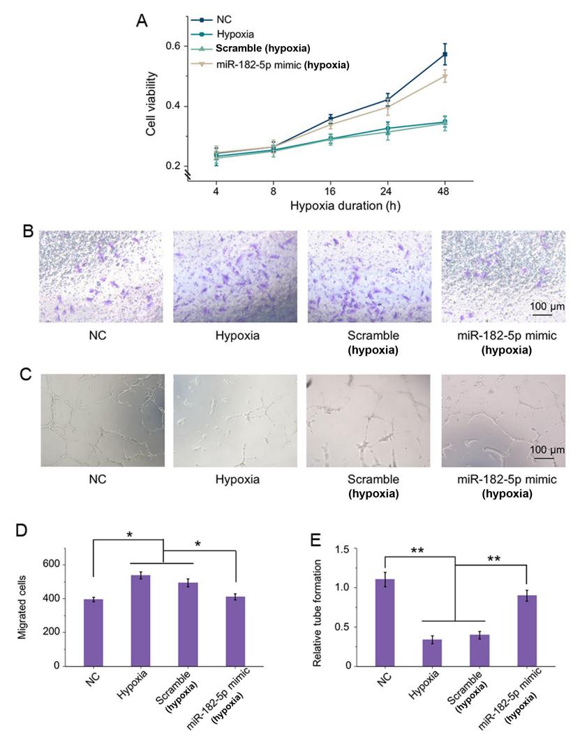 低氧/厌氧产品案例——低氧与视网膜研究