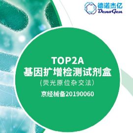 TOP2A 基因扩增检测试剂盒（原位杂交法）