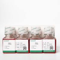 DT40细胞专用培养基丨DT40细胞培养基