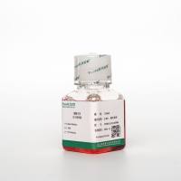 大鼠滋养层干细胞完全培养基