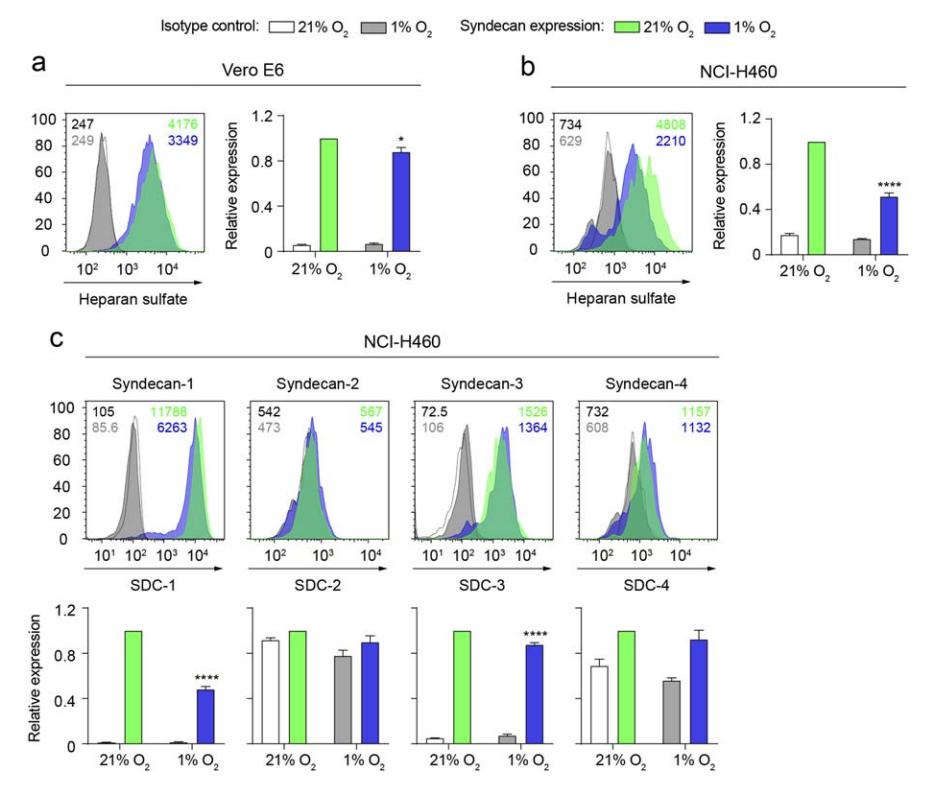 低氧/厌氧产品案例——低氧与新冠研究