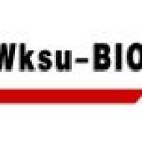 热封膜，适用于深孔板、PCR，光面