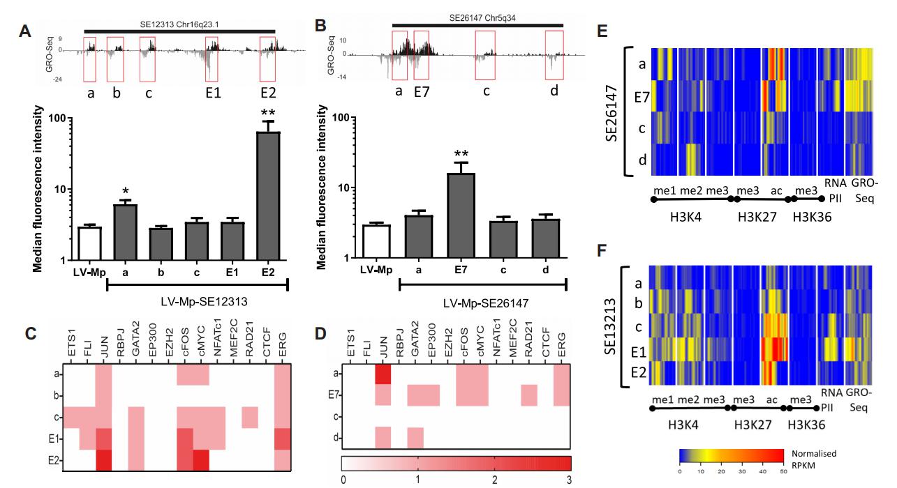 低氧/厌氧产品案例——低氧与血管新生研究2