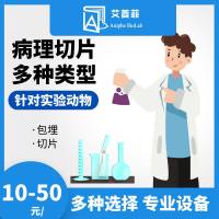 病理切片 实验动物病理组织切片冰冻切片石蜡包埋OCT包埋脱钙