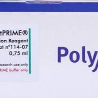 Jurkat细胞和其他难转染细胞如K562、RAW 2647、THP-1 DNA转染试剂