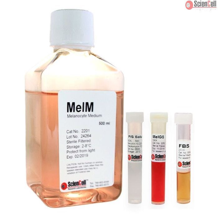 Sciencell 2201 黑色素细胞培养基 MelM 现货特价