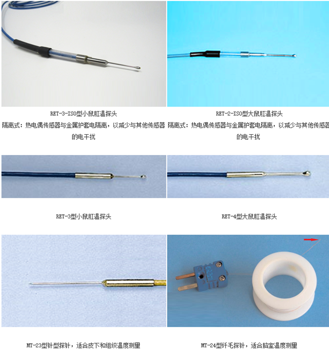 大小鼠组织温度测量探头，动物组织温度测量仪