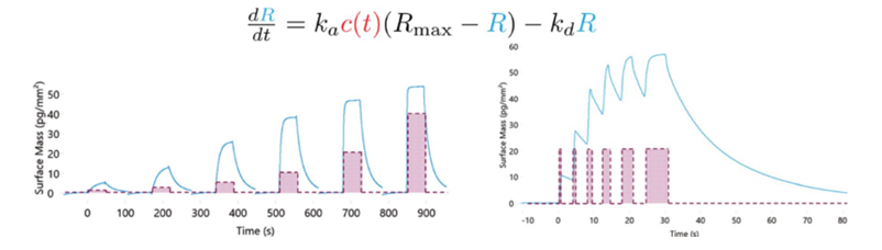 【解决方案】马尔文帕纳科为药物筛选按下快进键！