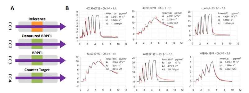【解决方案】马尔文帕纳科为药物筛选按下快进键!