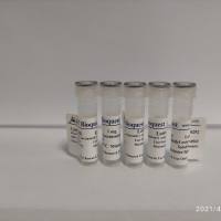 XFD647 抗人 CD43 抗体 *HI161*XFD647 与 Alexa Fluor™ 647 结构相同*