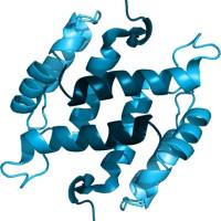 蛋白质结构解析服务