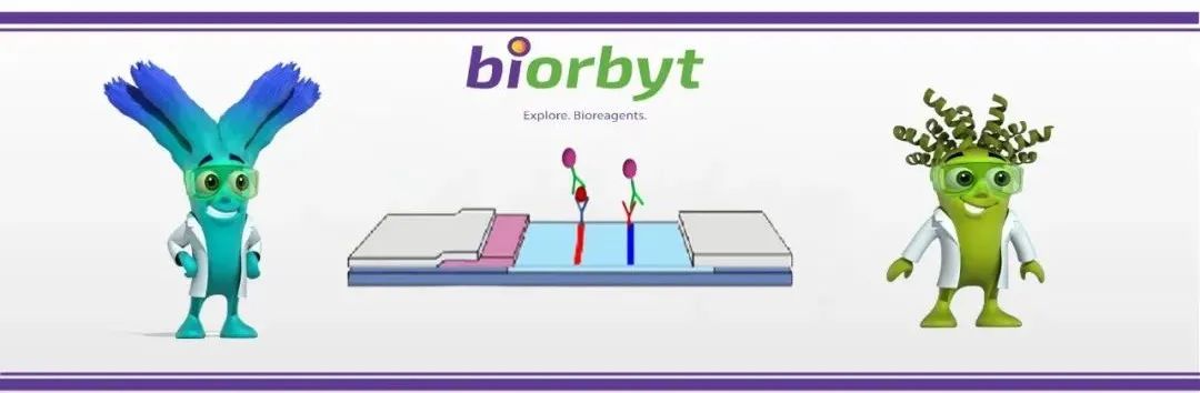 IVD 研发干货分享：侧向层析 / lateral-flow检测