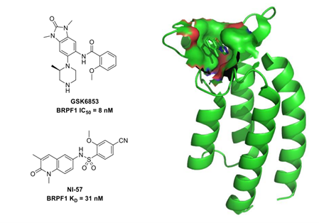 【解决方案】马尔文帕纳科为药物筛选按下快进键!