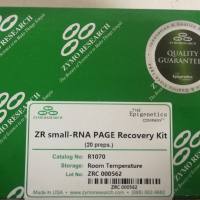 Zymo Research货号R1070凝胶RNA回收试剂盒13611631389上海睿安生物