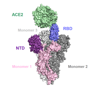 应用案例(质量光度计MP):质量光度计在SARS-CoV-2方面的应用