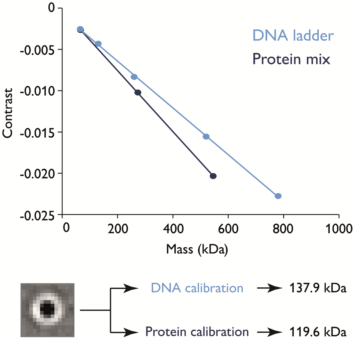 应用案例(质量光度计MP):质量光度计在核酸方面的应用