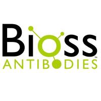 Color Prestained Protein Marker(10-180kDa)