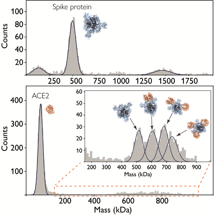 应用案例(质量光度计MP):质量光度计在SARS-CoV-2方面的应用