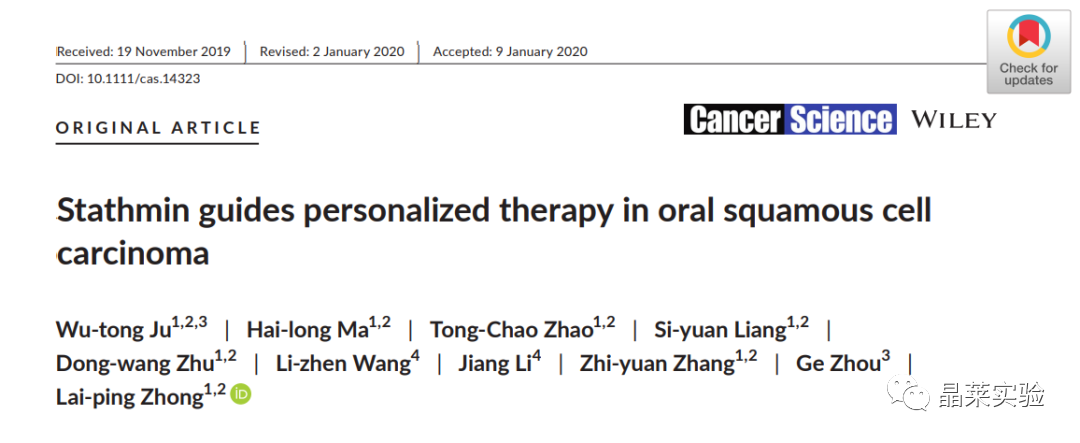 国自然热点文献解读之 “​Stathmin指导口腔鳞状细胞癌的个性化治疗”