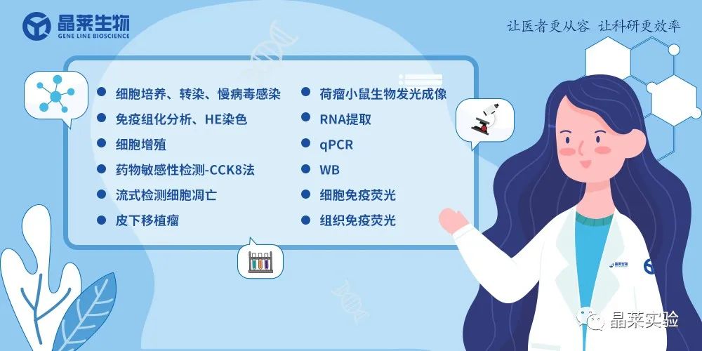 技术资料图片11