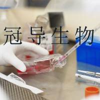 无菌试验用真菌培养基大量供应