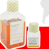 澳洲/新西兰胎牛血清Fetal Bovine Serum 一 Sterile Filtered