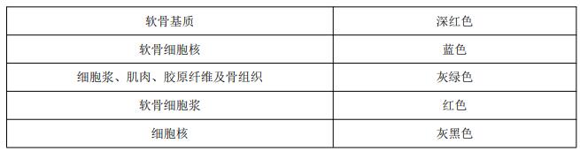 改良番红O-固绿软骨染色液