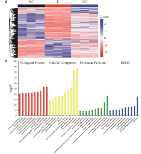 低氧/厌氧产品案例——低氧与视网膜病变