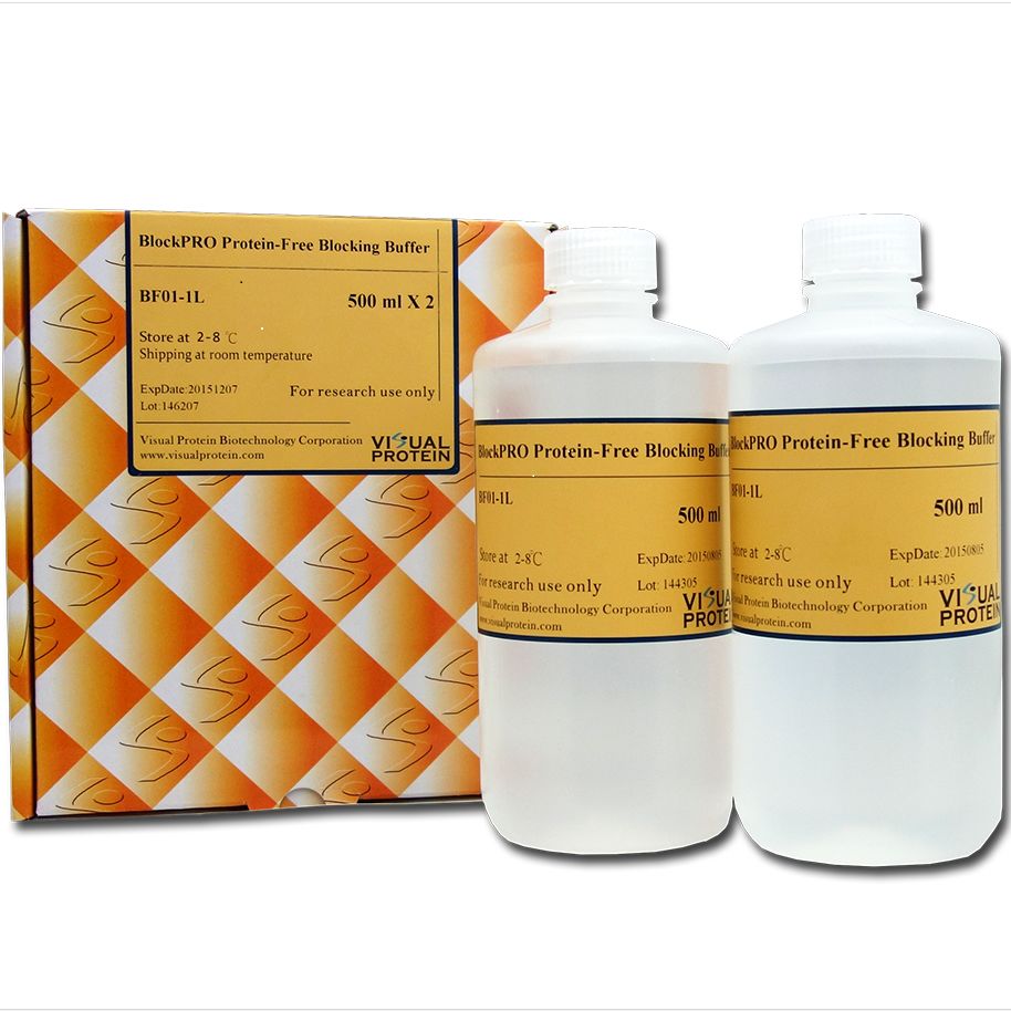 Western Blot 五十劫系列之二—无蛋白封闭液救你于水深火热之中