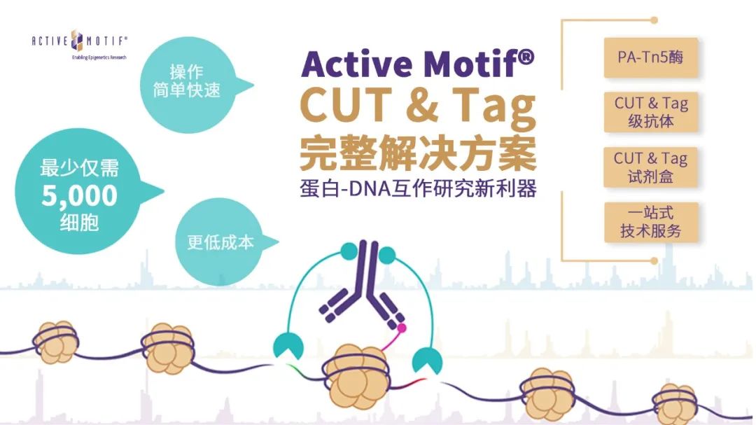 CUT&Tag产品引用文献增至11篇！还有“发文章领礼品”活动！