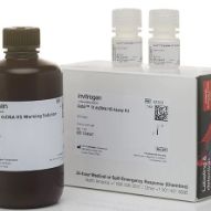 Qubit™ 1X dsDNA High Sensitivity (HS) and Broad Range (BR) Assay Kits