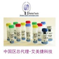 Human VEGFR-3/FLT-4 ELISA (total)|Human VEGFR-