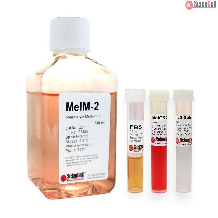 Sciencell 2211 黑色素细胞培养基-2  MelM-2 现货特价