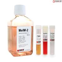 Sciencell 2211 黑色素细胞培养基-2 MelM-2 现货特价