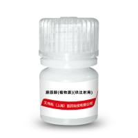 胆固醇（植物源）（供注射用） 