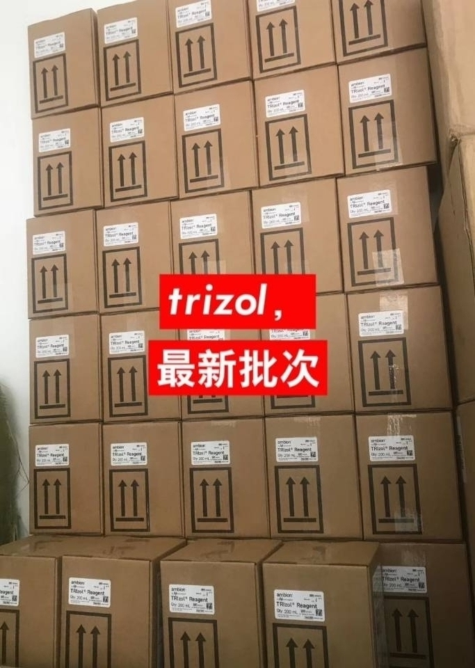 Invitrogen货号15596-018CN现货TRIzo