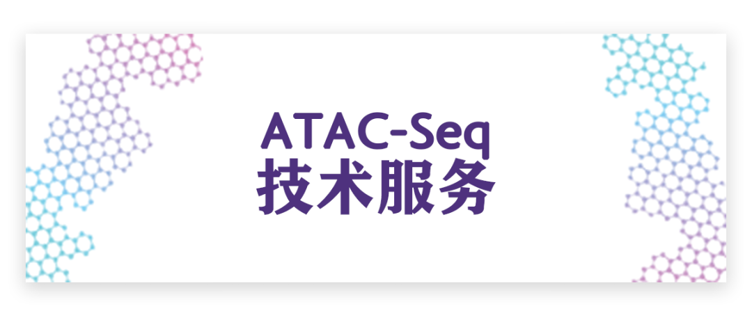 Active Motif ATAC-Seq应用案例一览!文末有福利!